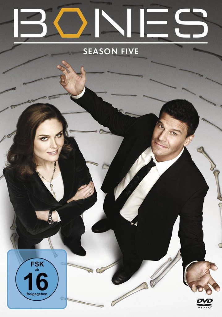 Bones Die Knochenjägerin Staffel 5 Stream anschauen